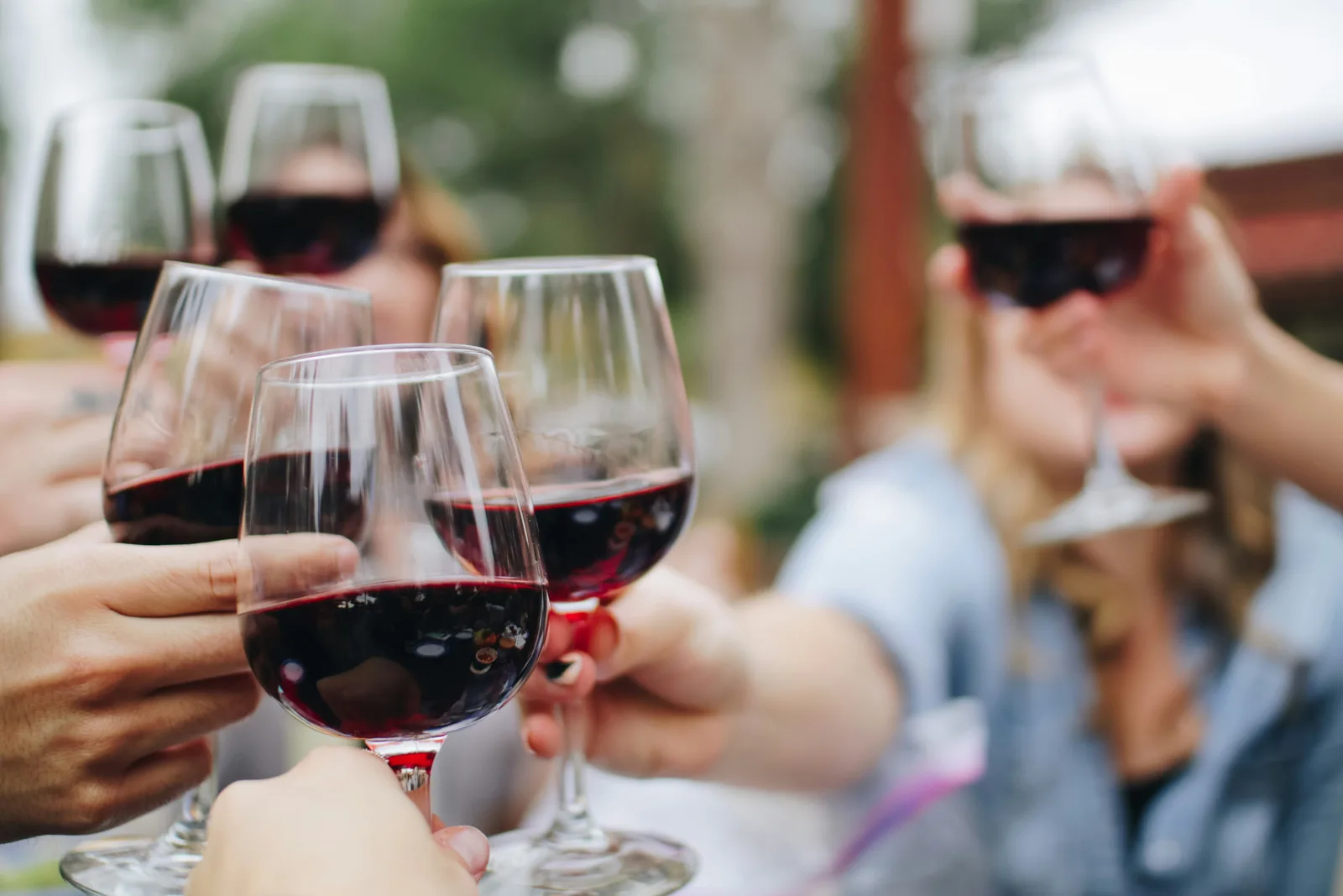 Curated wine selection
